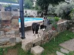 IMG 20260605 183733